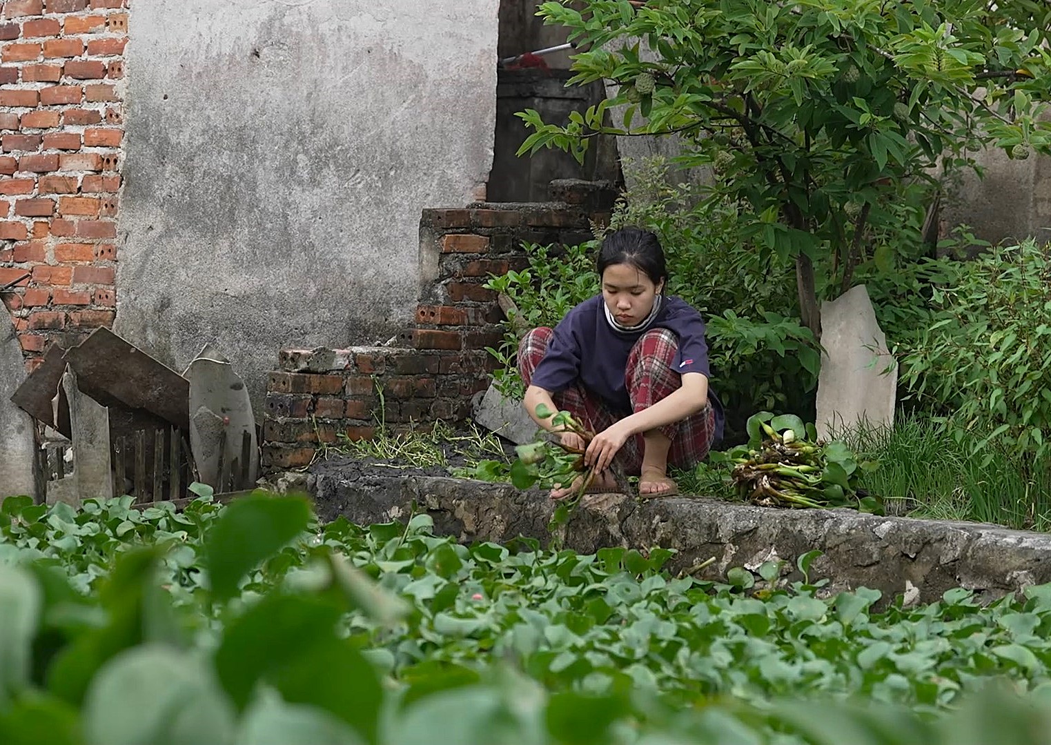 Cô bé Bảo Châu lặng lẽ sống một mình trong căn nhà cũ sau khi mất đi cả mẹ và ông ngoại.