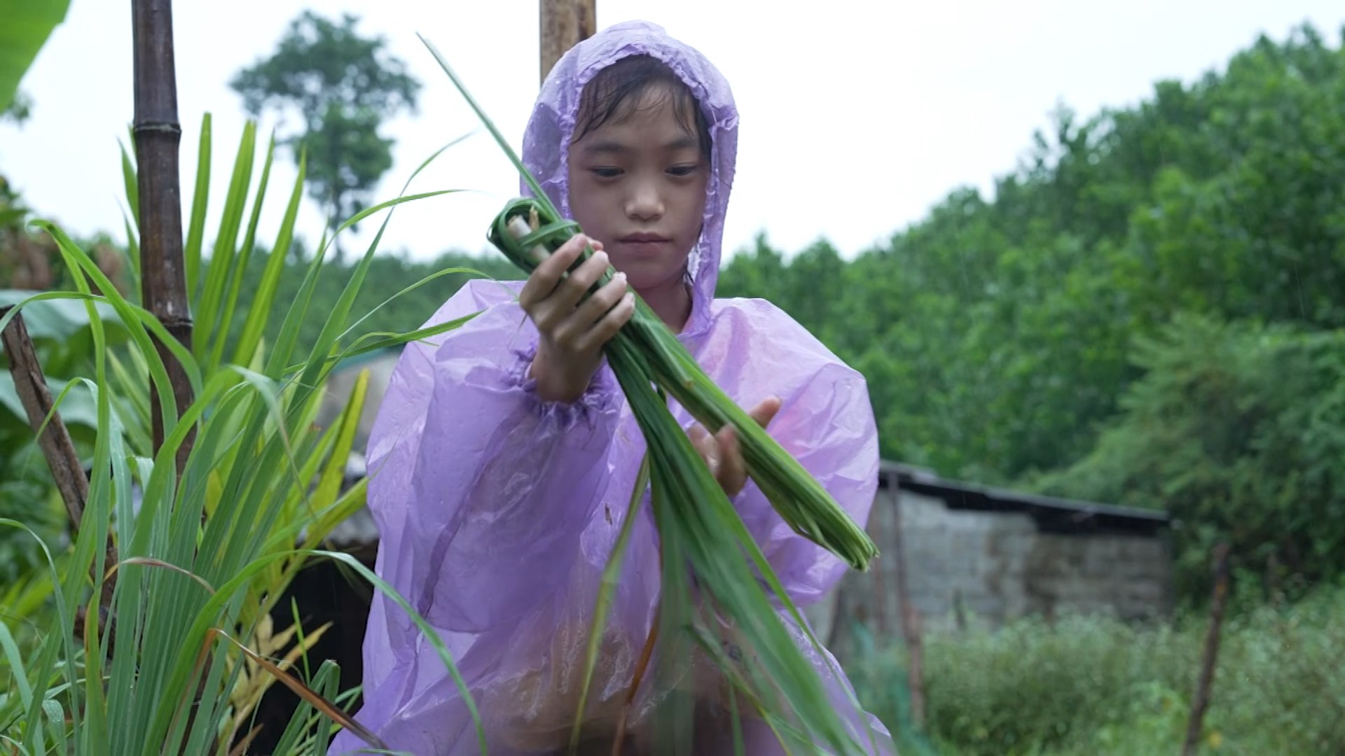 Cô bé dân tộc Thái gầy gò, hình ảnh khiến nhiều người không khỏi xót xa.