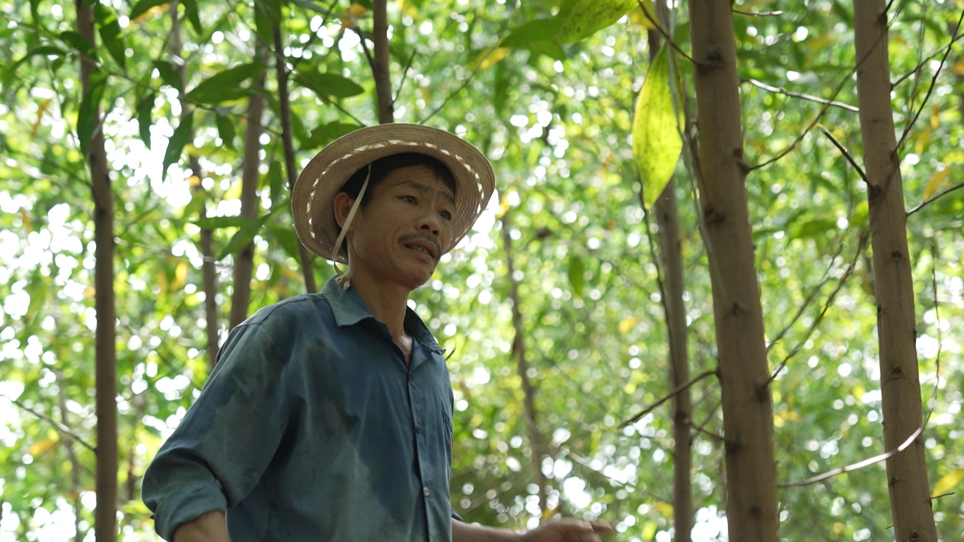 Dù bị thương ở tay, anh Phúc vẫn cố gắng lao động để làm trụ cột duy nhất của gia đình.